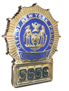 NYC_clipped_rev_1